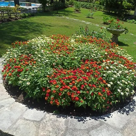 Sani Maria Száni-part