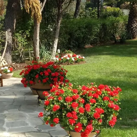 Sani Maria Villa Száni-part