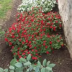 Willa Sani Maria Sani (Chalkidiki)