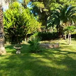 Sani Maria