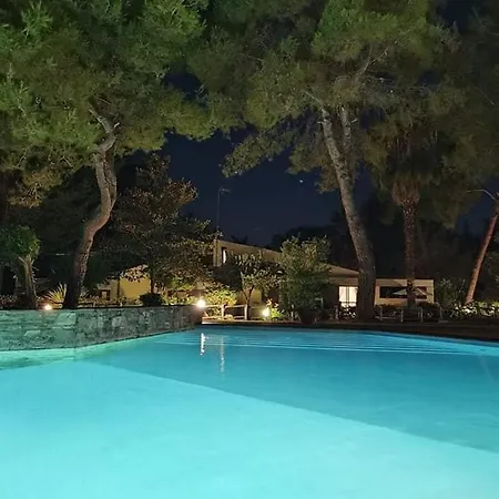 Sani Maria