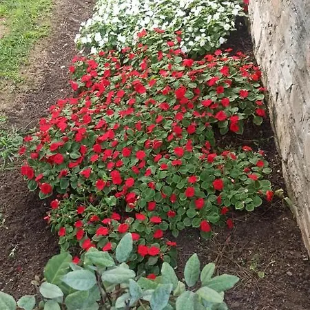 וילה Sani Maria סאני ביץ'