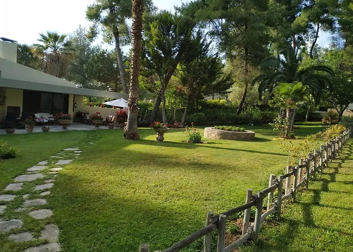 Sani Maria Сани-Бич