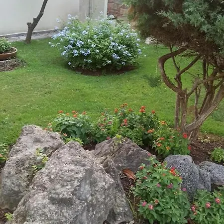 Sani Maria Villa
