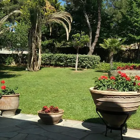 Sani Maria *