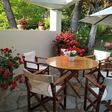 Sani Maria Sani (Chalkidiki)