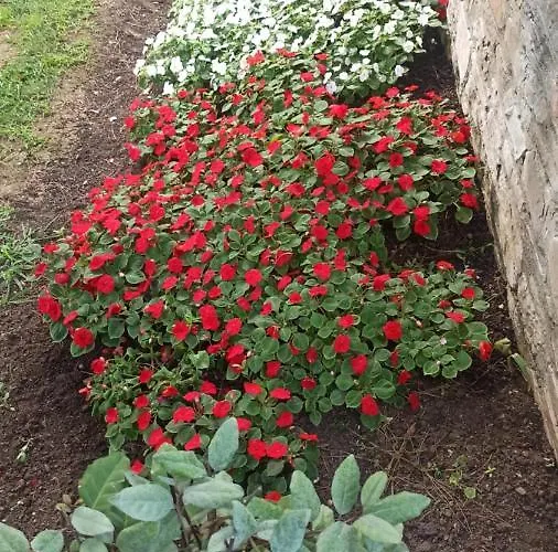 Vila Sani Maria Sani (Chalkidiki)