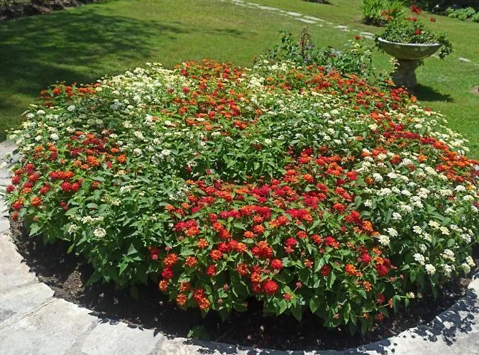 Sani Maria Sani (Chalkidiki)